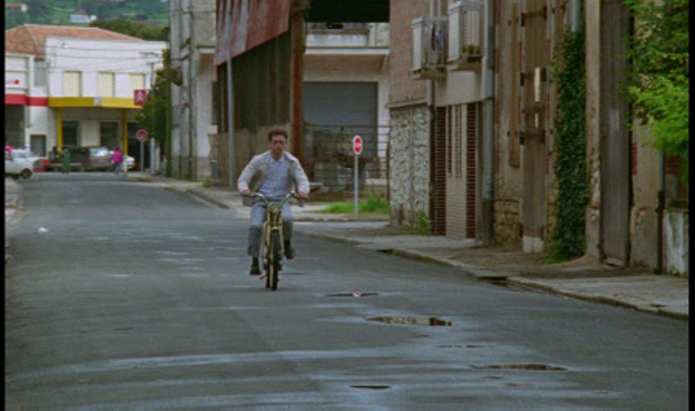 野性の葦の画像