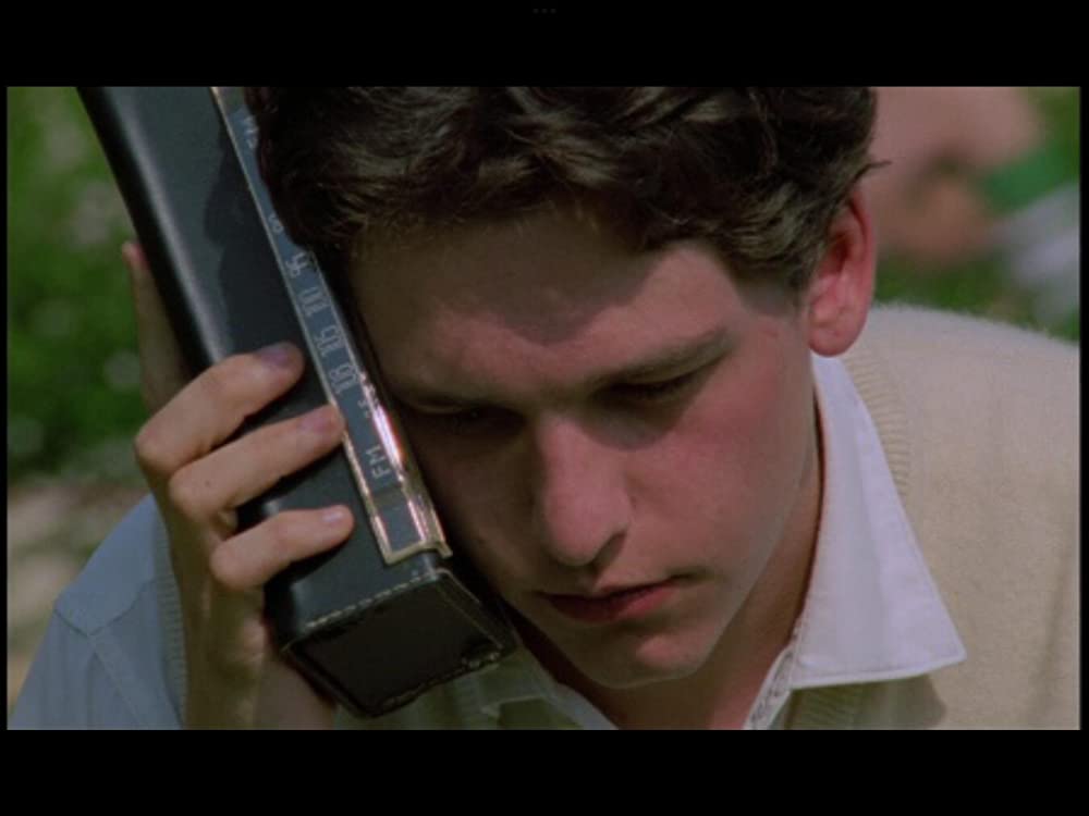 野性の葦の画像