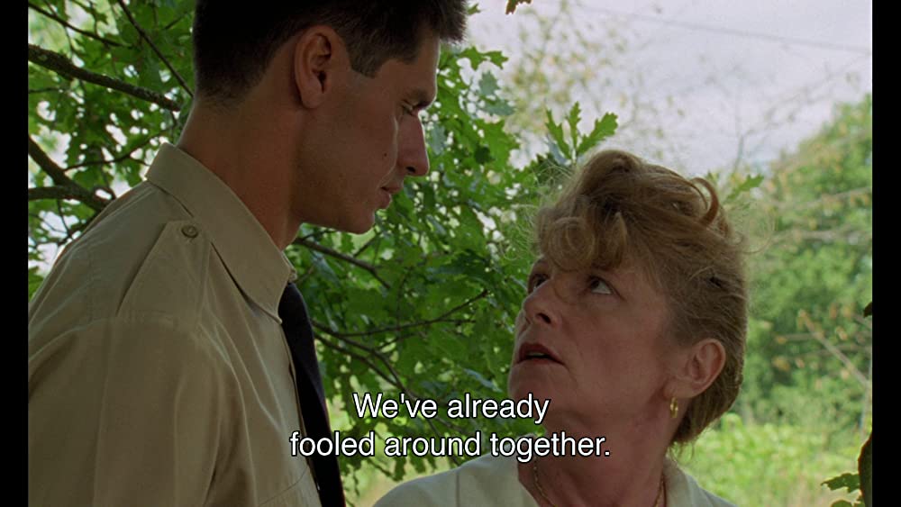 野性の葦の画像