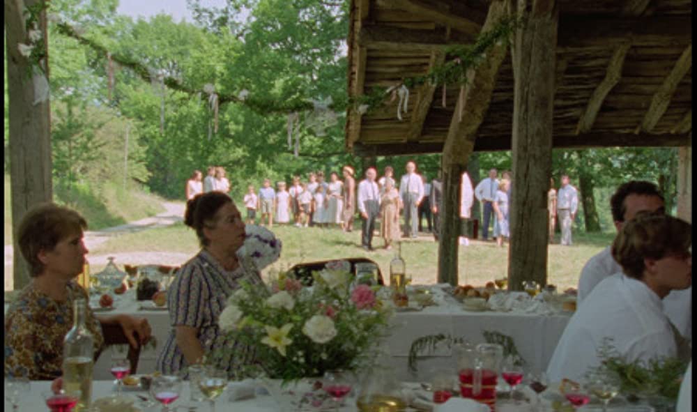 野性の葦の画像