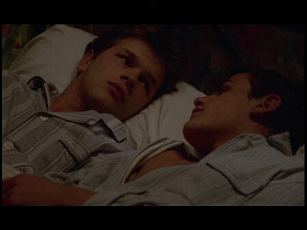 野性の葦の画像