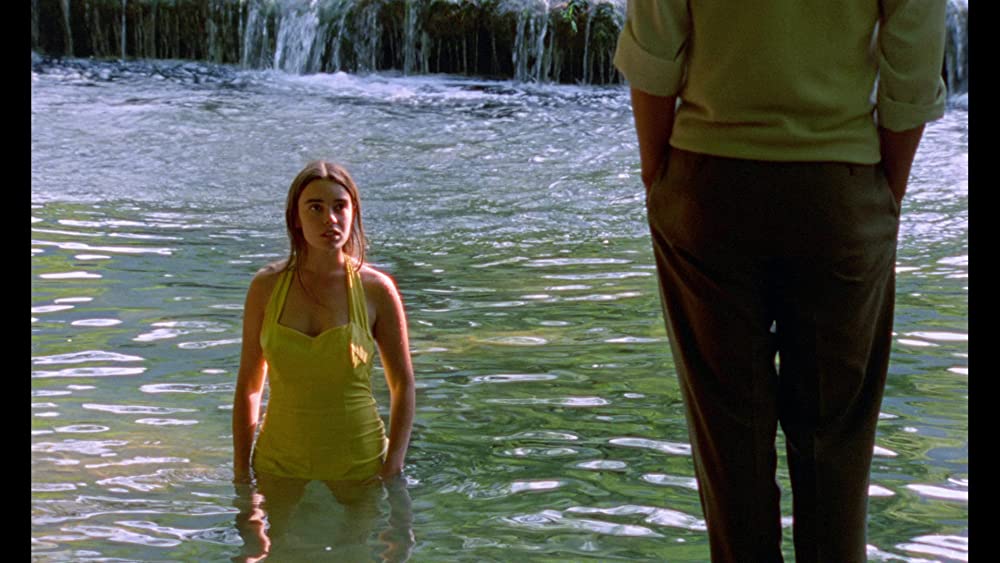 野性の葦の画像