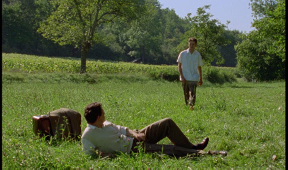 野性の葦の画像