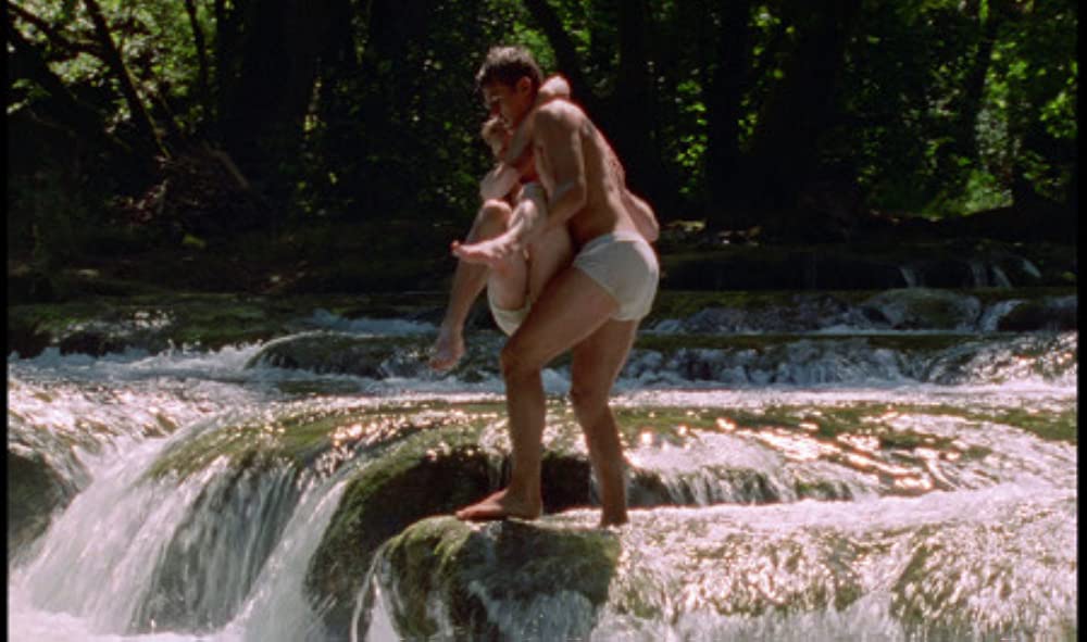 野性の葦の画像