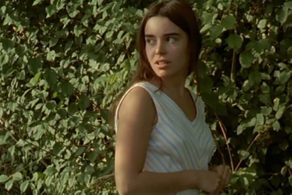 野性の葦の画像