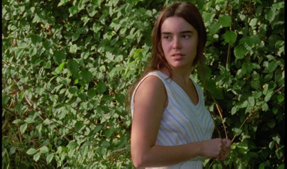 野性の葦の画像