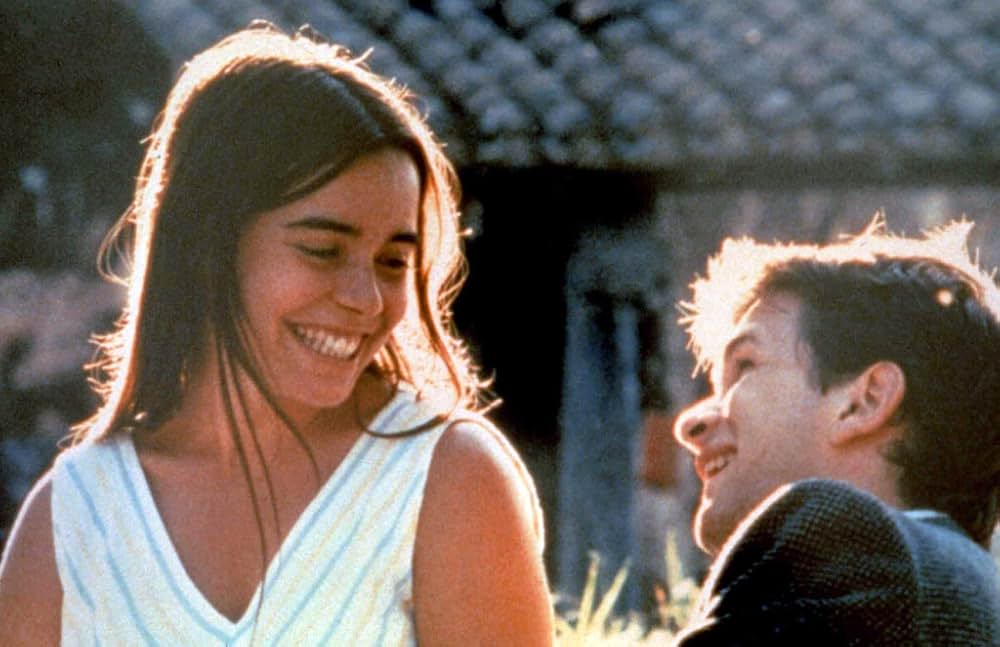 野性の葦の画像