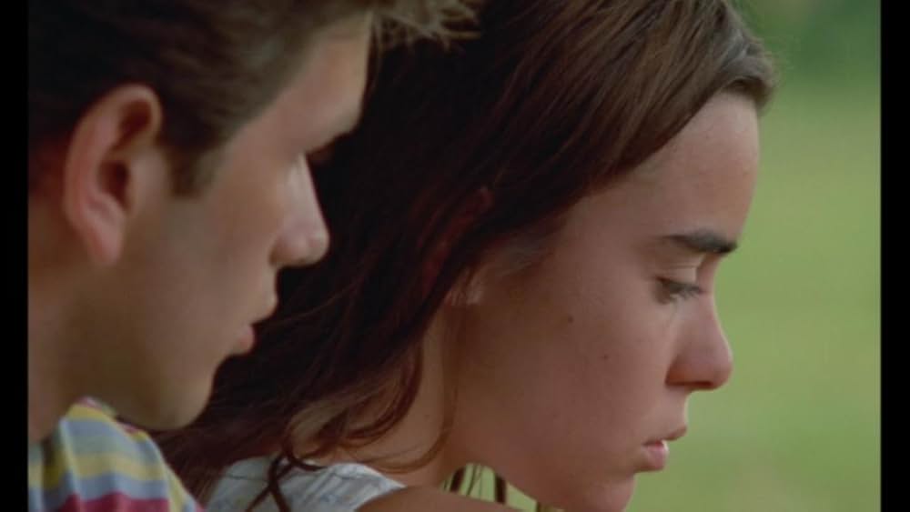 野性の葦の画像