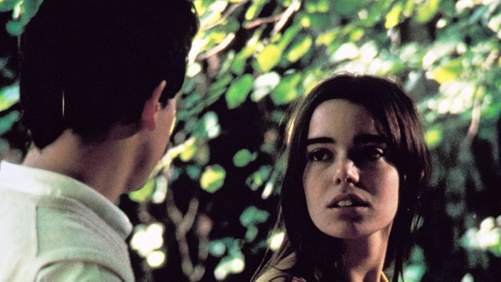 野性の葦の画像