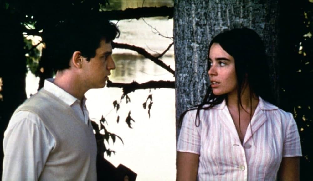 野性の葦の画像