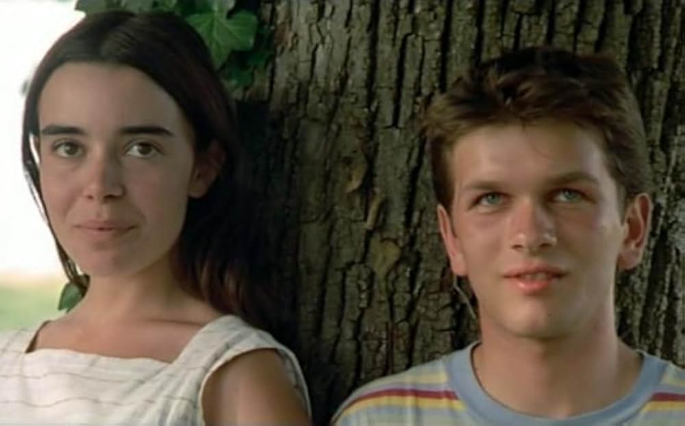 野性の葦の画像