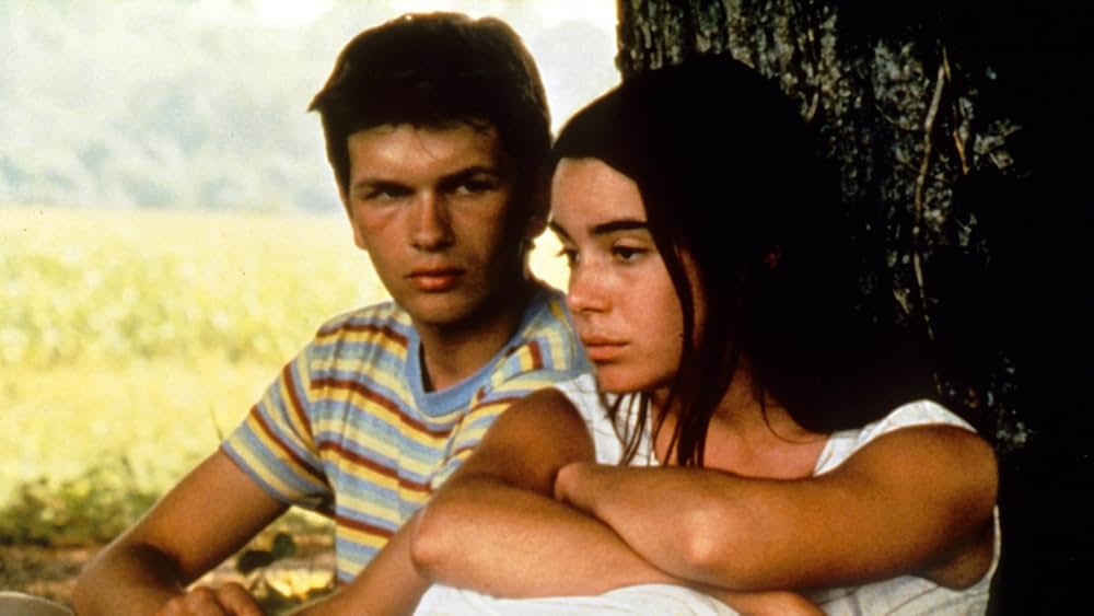 野性の葦の画像