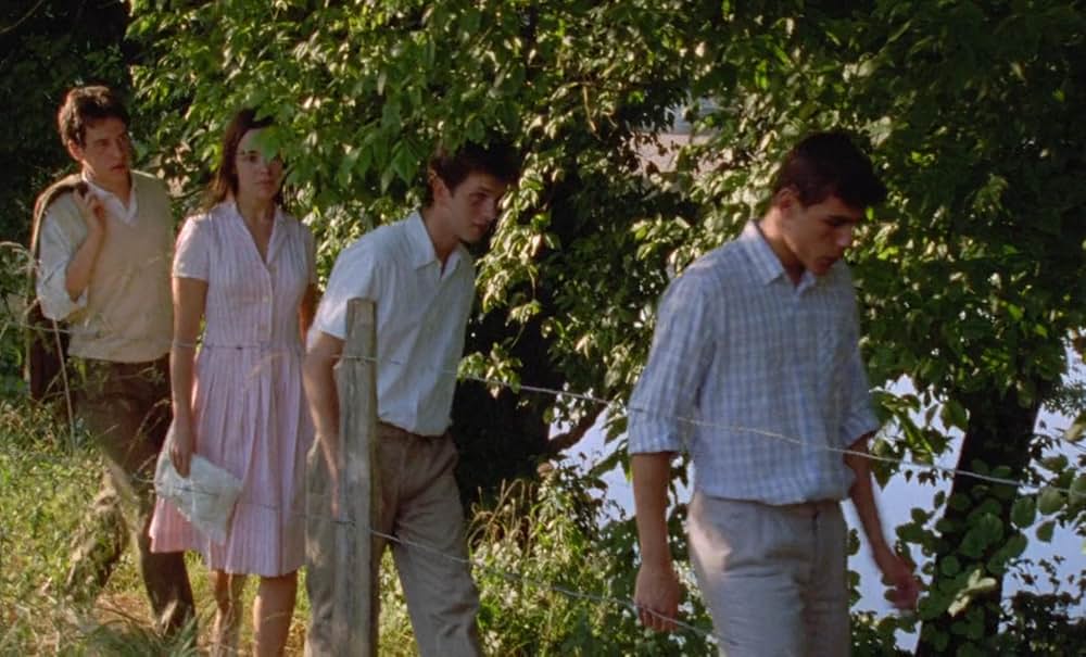 野性の葦の画像