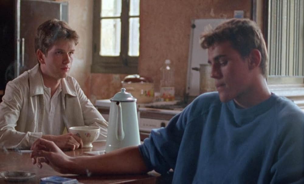 野性の葦の画像