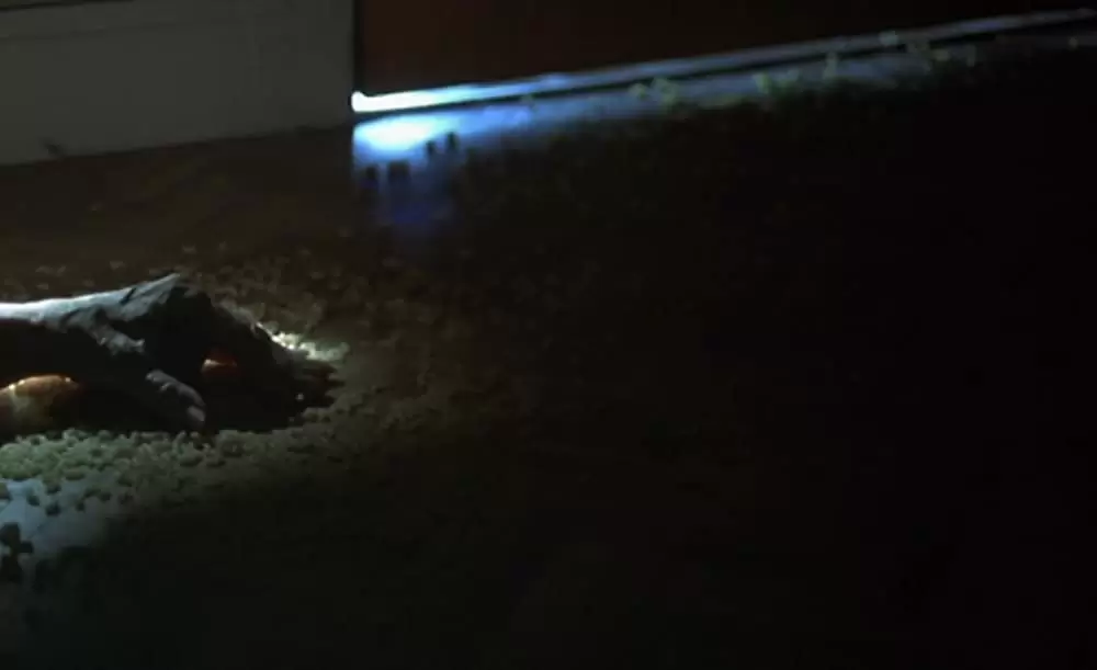 パリ、18区、夜。の画像