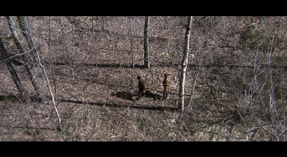 特攻大戦線の画像