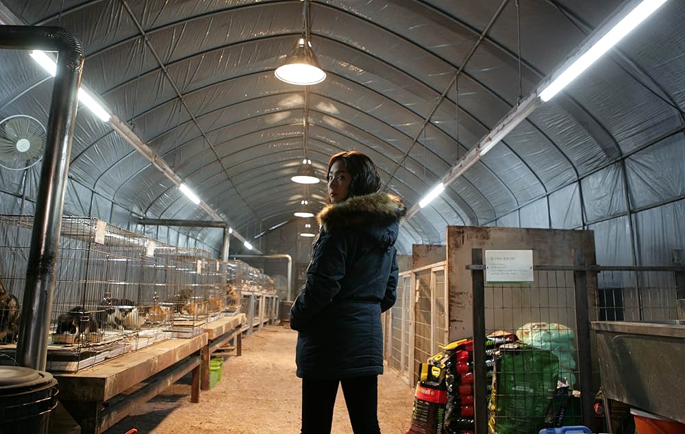 THE CAT ザ・キャットの画像