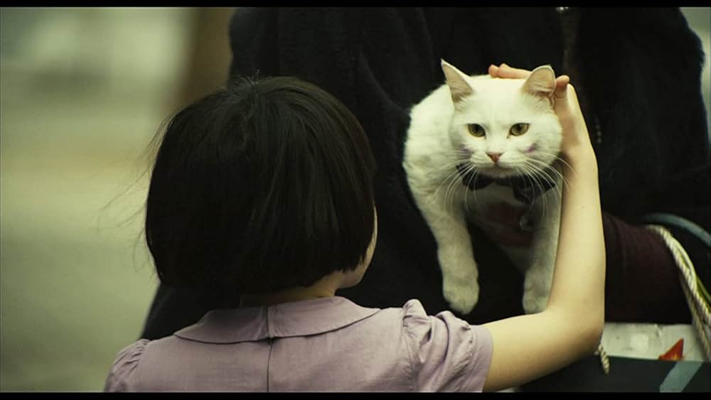 THE CAT ザ・キャットの画像