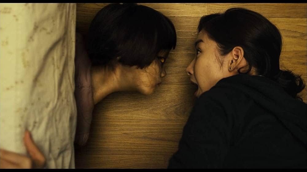 THE CAT ザ・キャットの画像