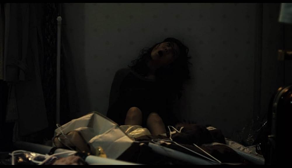 THE CAT ザ・キャットの画像