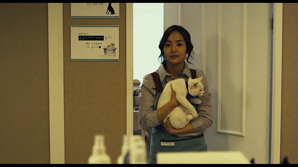 THE CAT ザ・キャットの画像