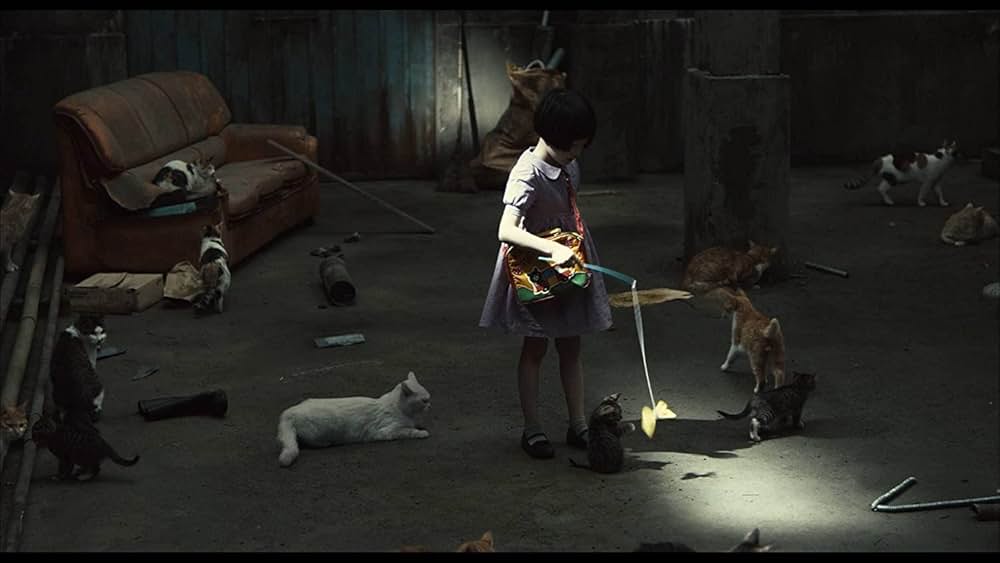 THE CAT ザ・キャットの画像