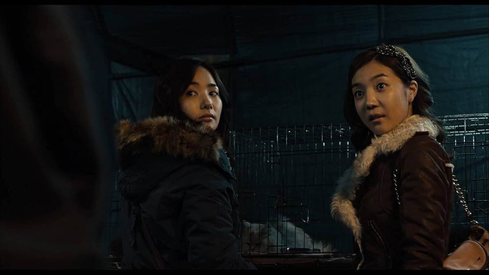 THE CAT ザ・キャットの画像