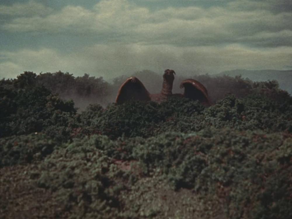 空の大怪獣 ラドンの画像
