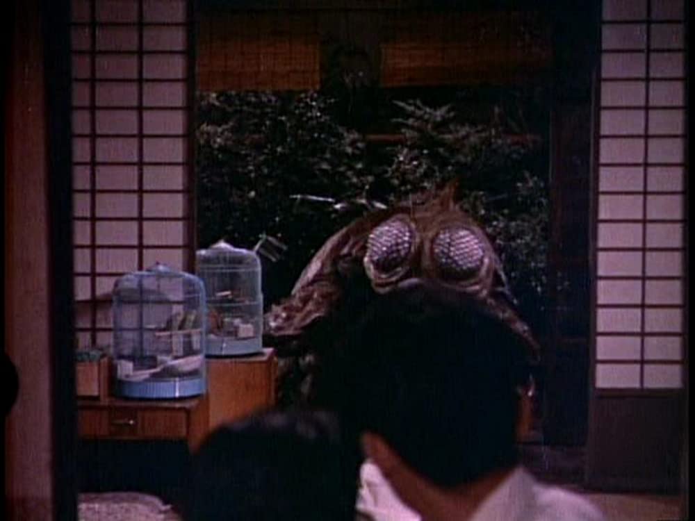 空の大怪獣 ラドンの画像