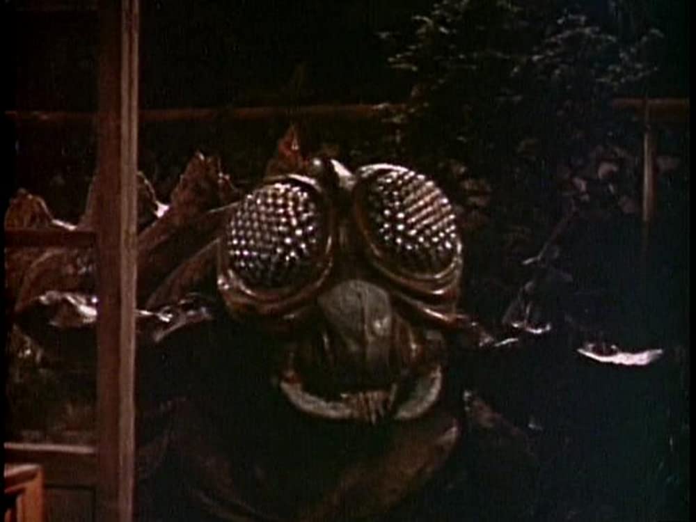 空の大怪獣 ラドンの画像