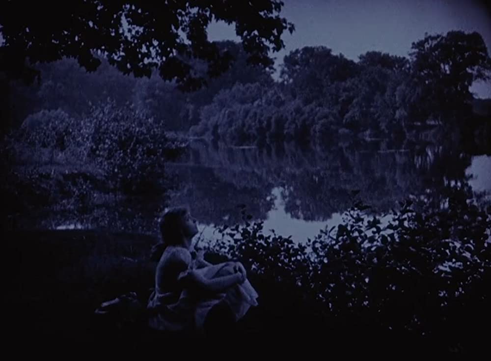 「東への道」リリアン・ギッシュの画像