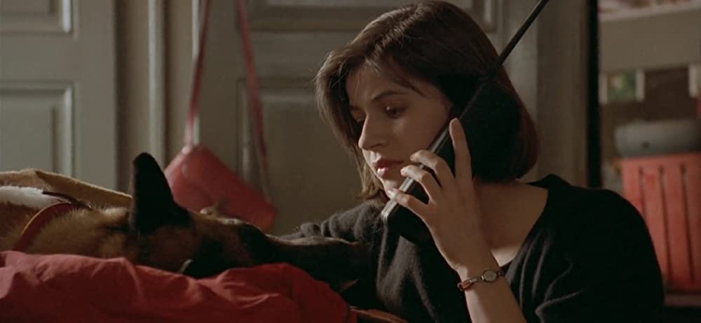 トリコロール／赤の愛の画像