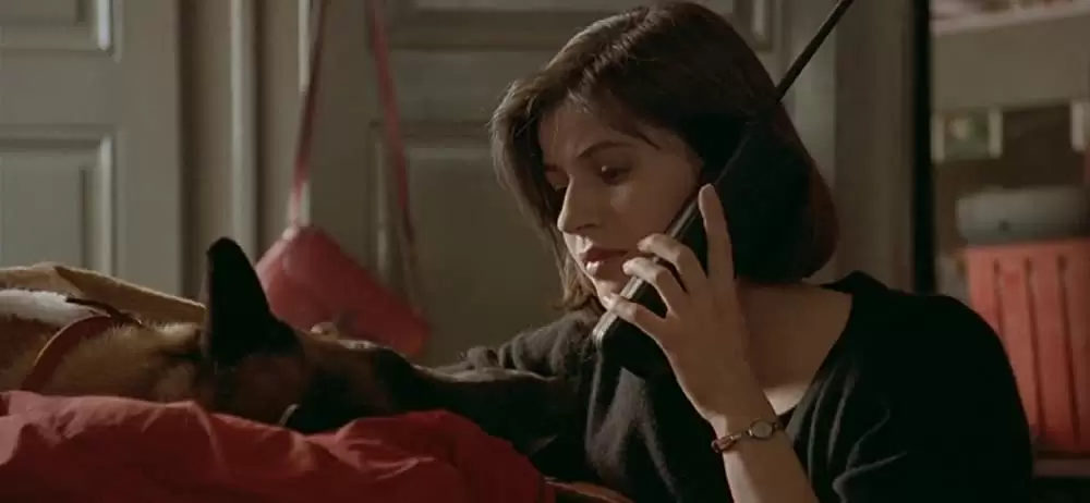 トリコロール／赤の愛の画像