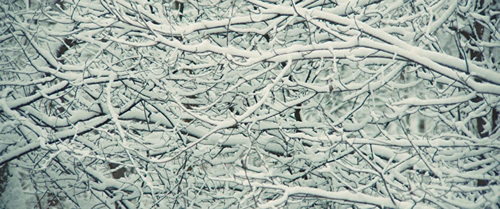 トレジャーハンター・クミコの画像