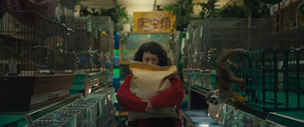 「トレジャーハンター・クミコ」菊地凛子の画像