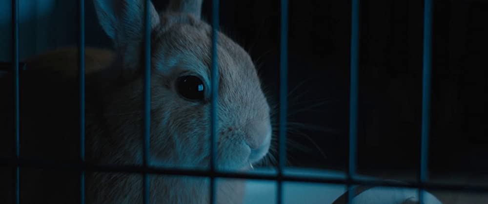 トレジャーハンター・クミコの画像