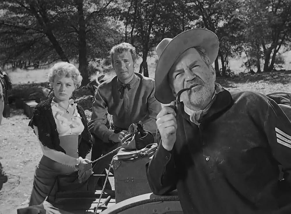 ウィンチェスター銃'73の画像