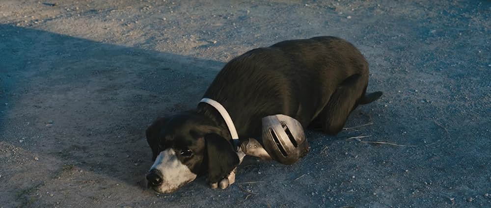 鋼の錬金術師 完結編 最後の錬成の画像
