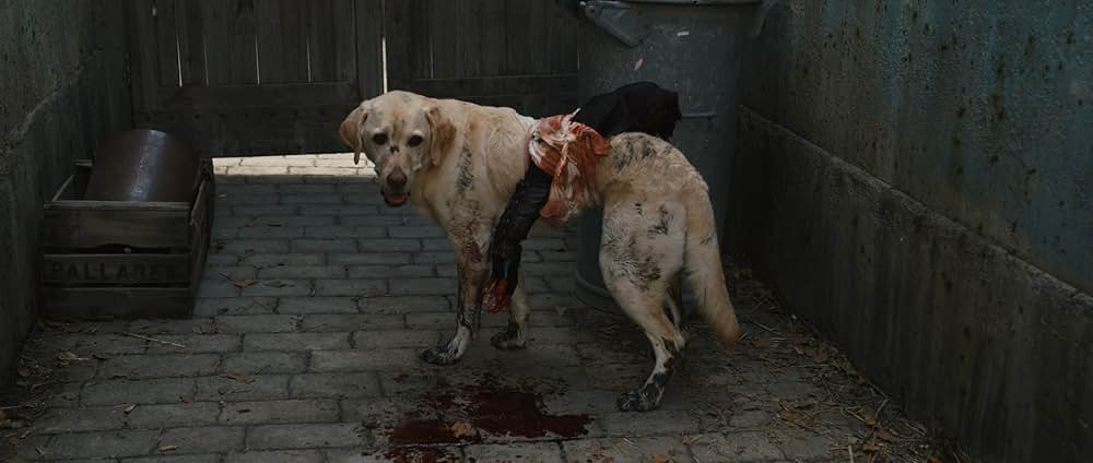 「鋼の錬金術師 完結編 復讐者スカー」の画像