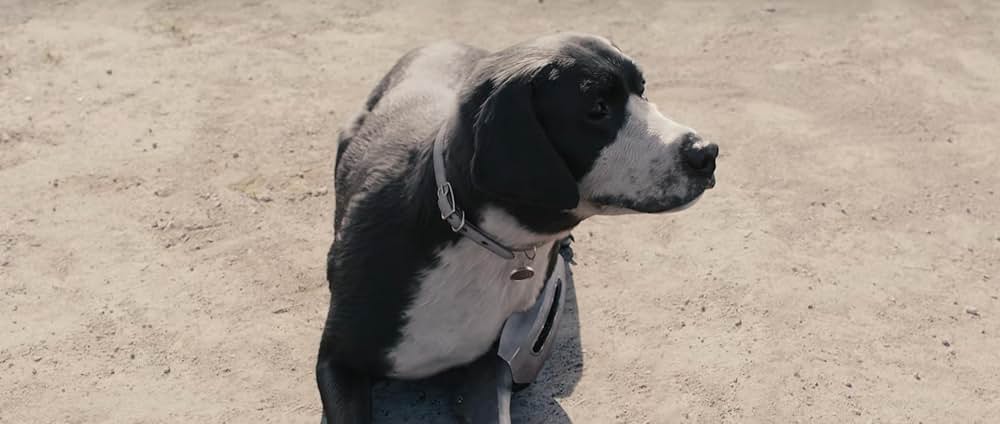 「鋼の錬金術師 完結編 復讐者スカー」の画像