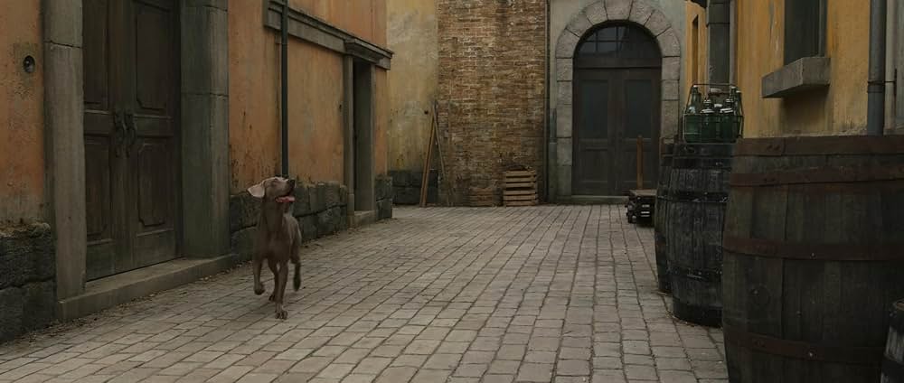 鋼の錬金術師 完結編 復讐者スカーの画像