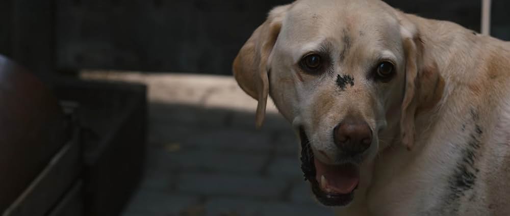 鋼の錬金術師 完結編 復讐者スカーの画像