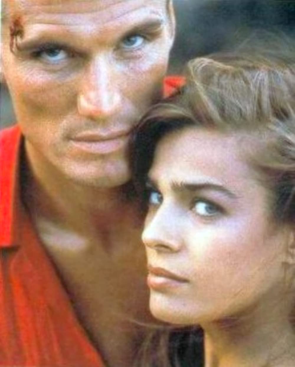 バニシング・レッドの画像