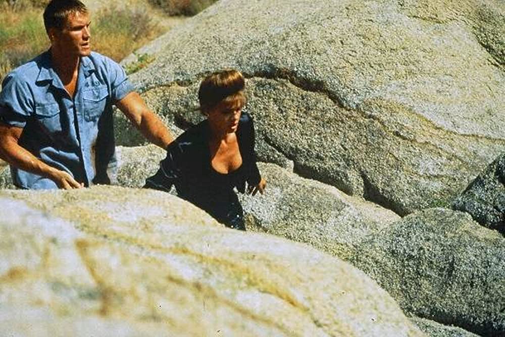 バニシング・レッドの画像