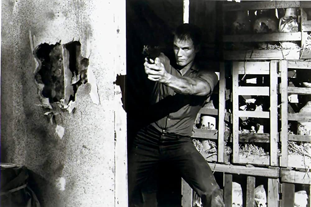 バニシング・レッドの画像