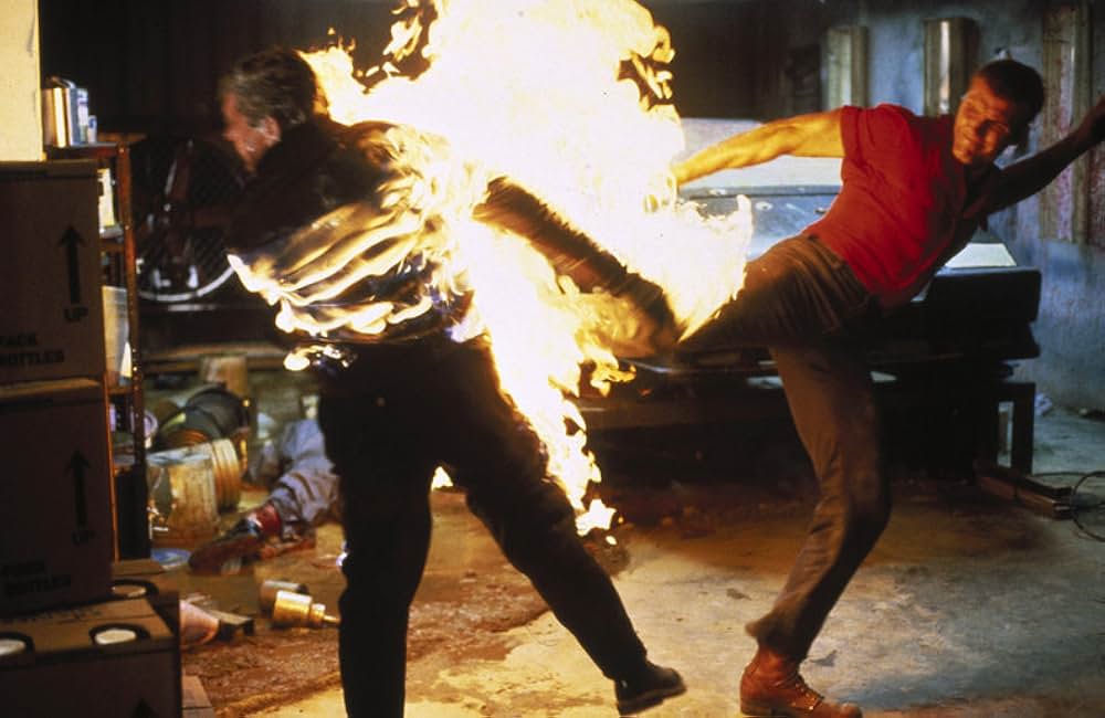 バニシング・レッドの画像