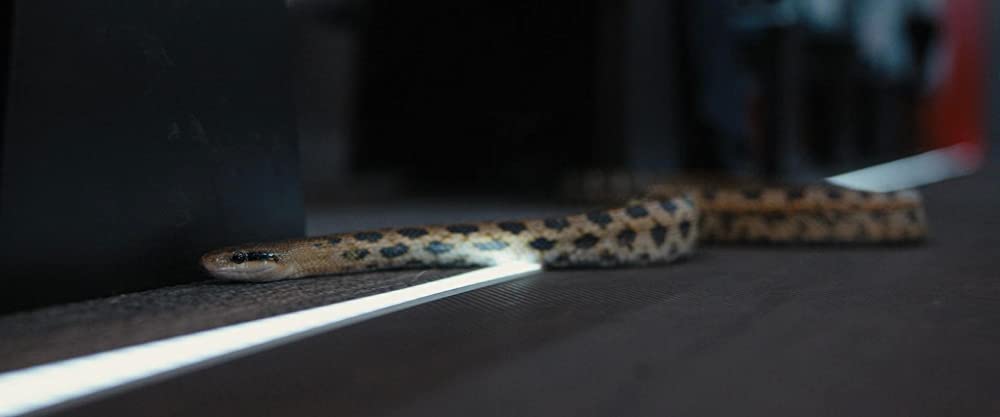 ブレット・トレインの画像