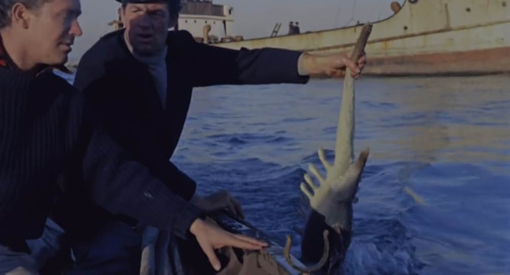 怪獣ゴルゴの画像