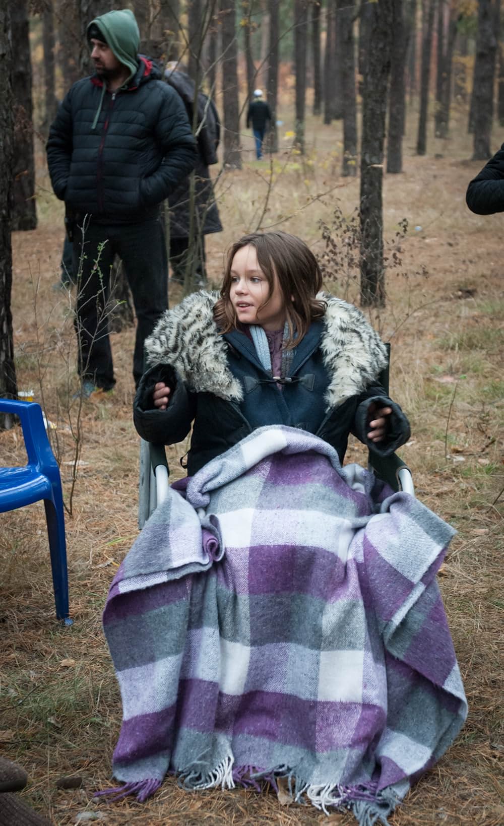 セブン・ラビリンス 少女ポリーナと七つの迷宮／少女ポリーナと7つの迷宮の画像