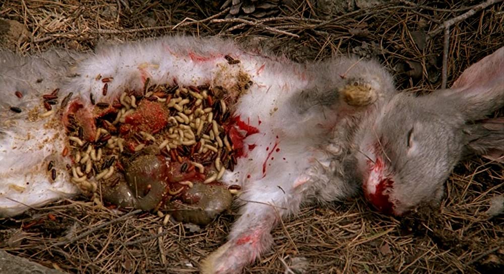 地中海殺人事件の画像